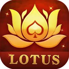 Teen Patti Lotus – Play Teen Patti with Real Money and Win Big